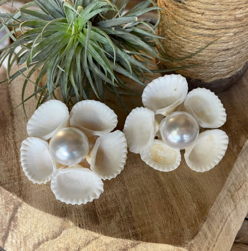 Large Coastal Shell and Pearl Classic Earring